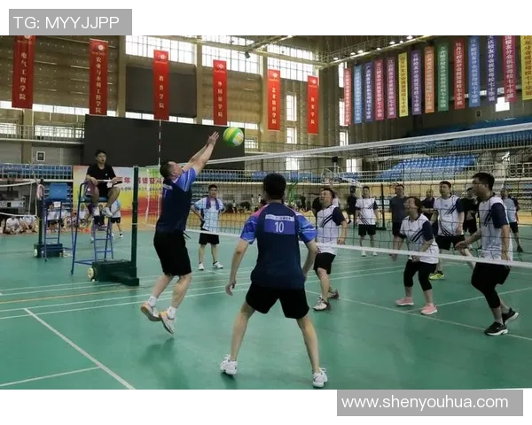 武汉排球队逆袭之旅的真实记录与奋斗精神展现