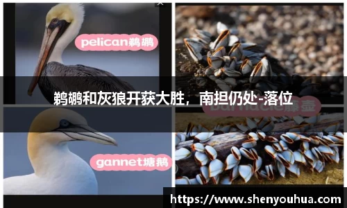 米乐YY易游